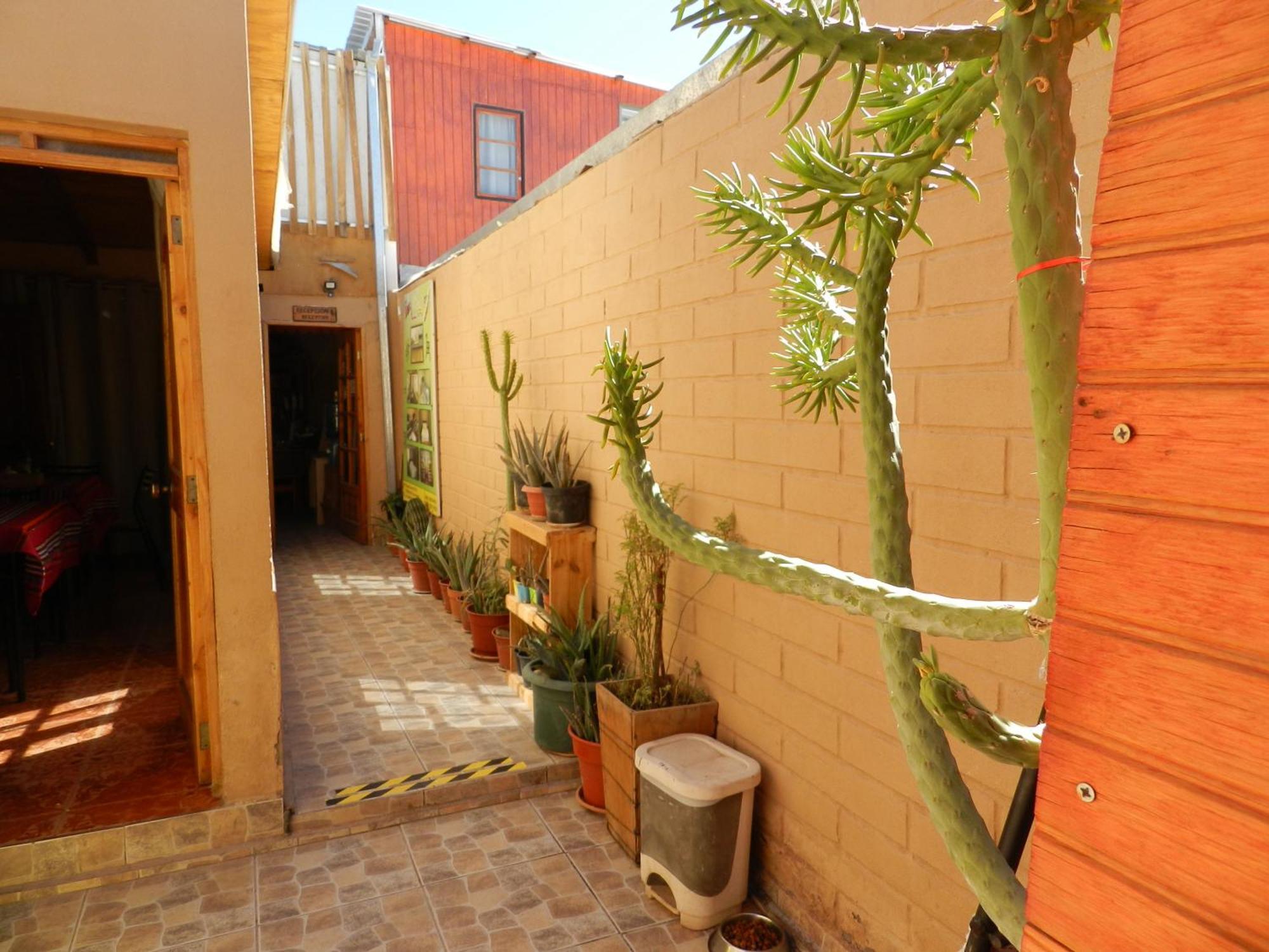 Hostal Illari Σαν Πέδρο ντε Ατακάμα Εξωτερικό φωτογραφία